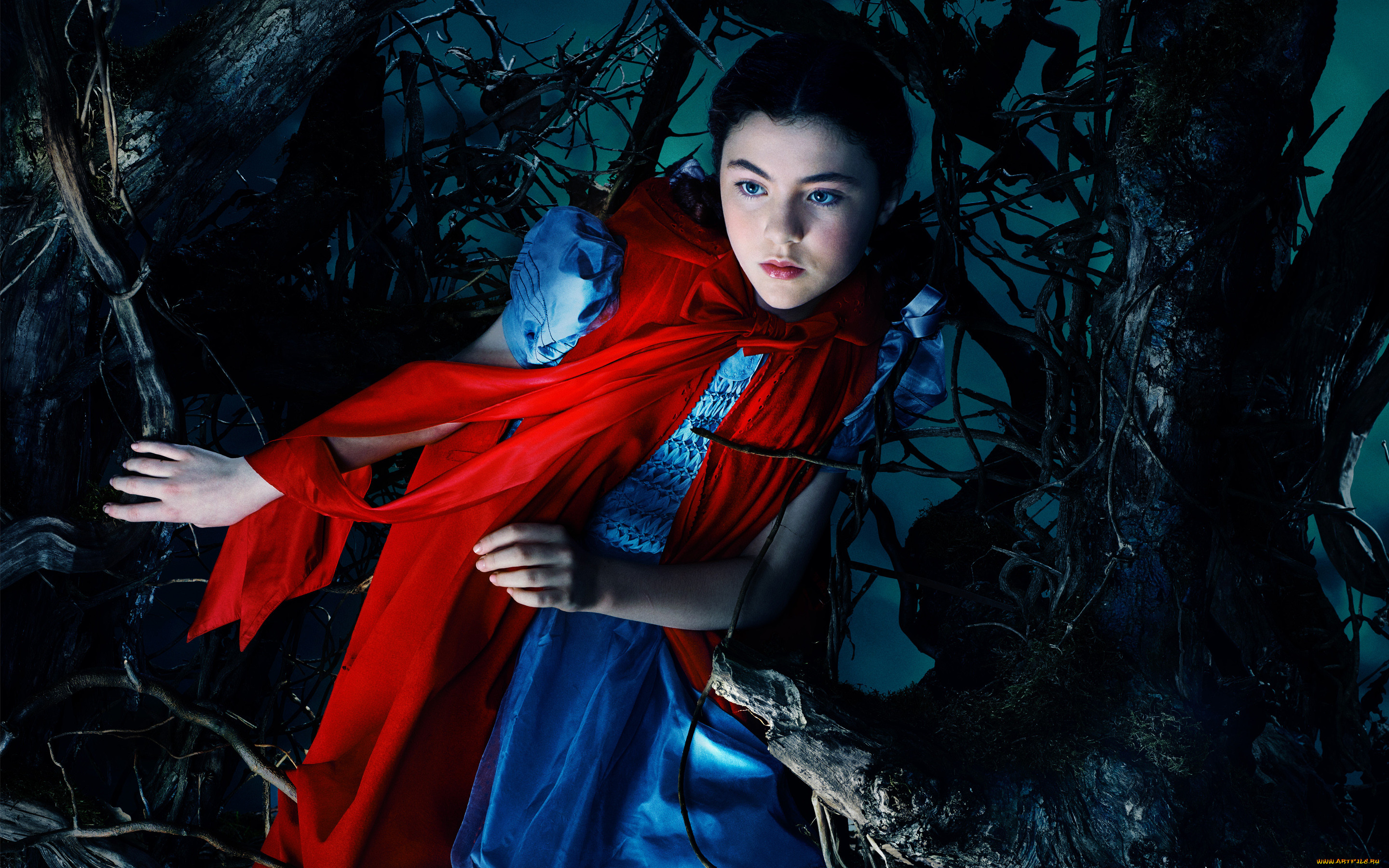  , into the woods, into, the, woods